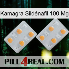 Kamagra Sildénafil 100 Mg 25